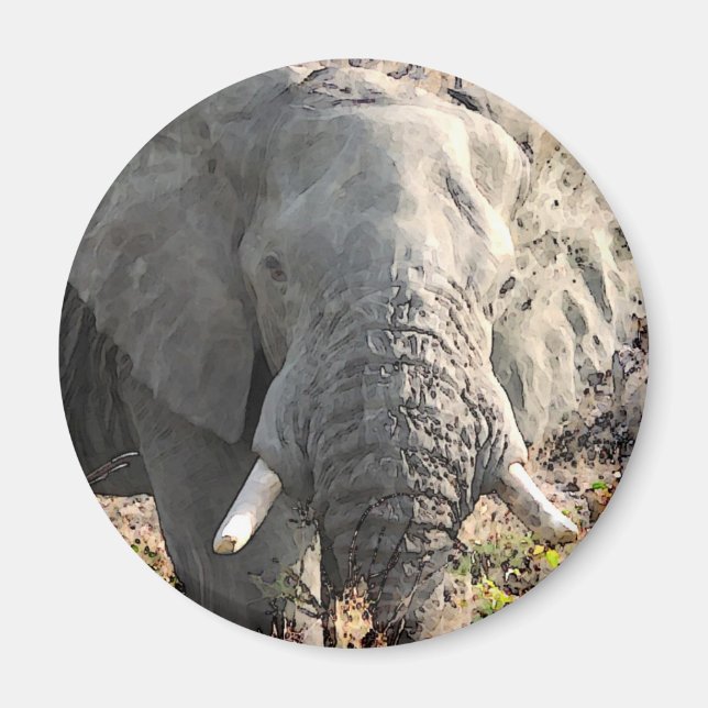 Elephant Pop Art Magnet (Front)