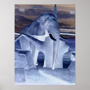 Elephant Pop Art Poster