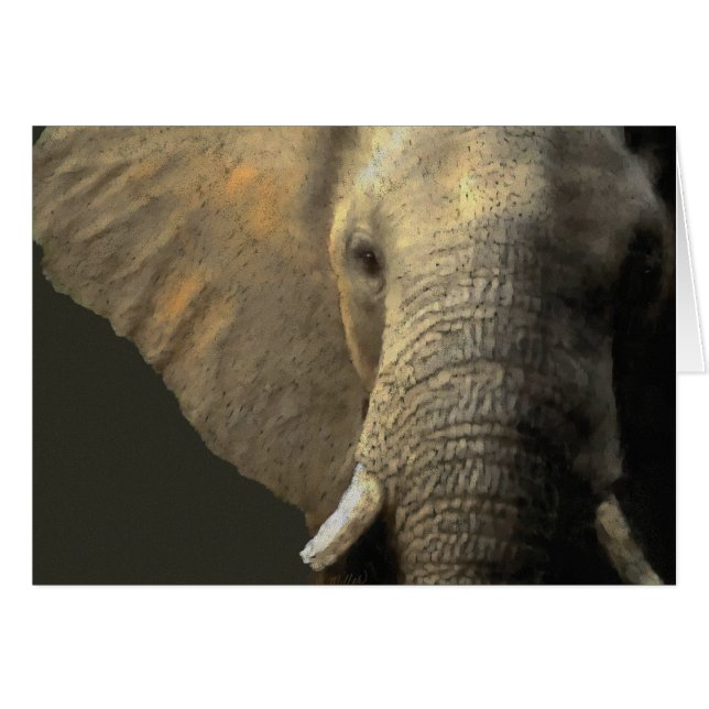 Elephant Portrait (Front Horizontal)