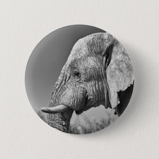 Elephant portrait 2 inch round button (Front)