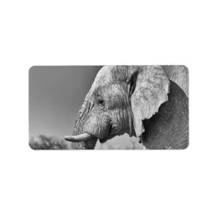 Elephant portrait label