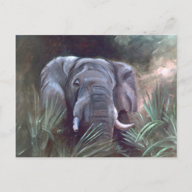 Elephant Portrait Postcard (Front)