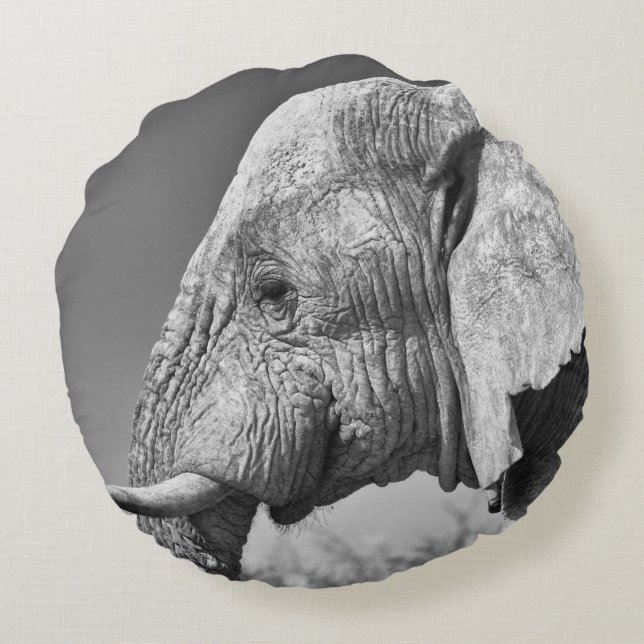 Elephant portrait round pillow (Back)