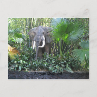 Elephant postcard