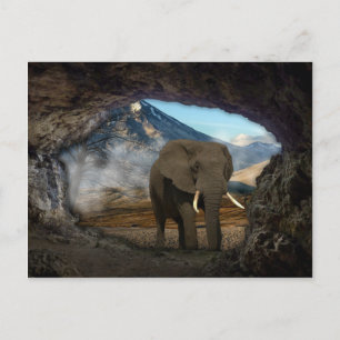 Elephant Postcard
