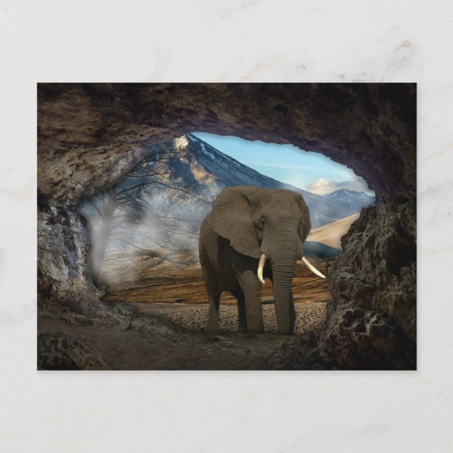 Elephant Postcard (Front)