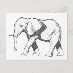 Elephant Postcard