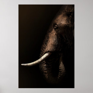 Elephant Profile Poster