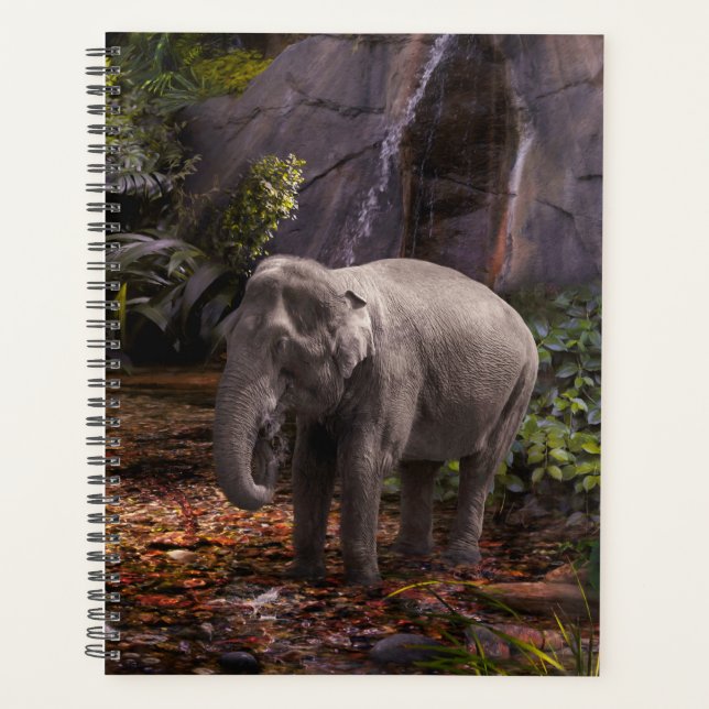 ELEPHANT RAIN FOREST PLANNER (Front)