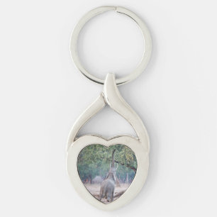 Elephant reaching for Acacia tree Keychain