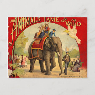 Elephant Red Book Postcard