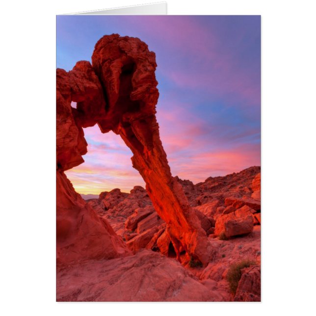 Eléphant Rock Morning Glow (Devant)