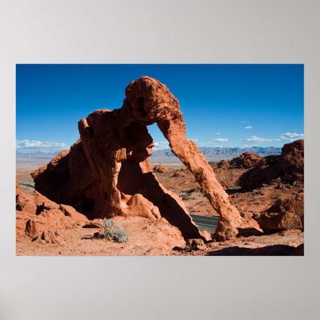 Elephant Rock Poster (Front)