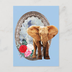 Elephant, Roses, And Frame Postcard