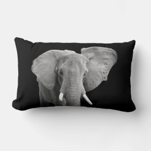 Elephant Safari Animal Photo on Black Lumbar Pillow