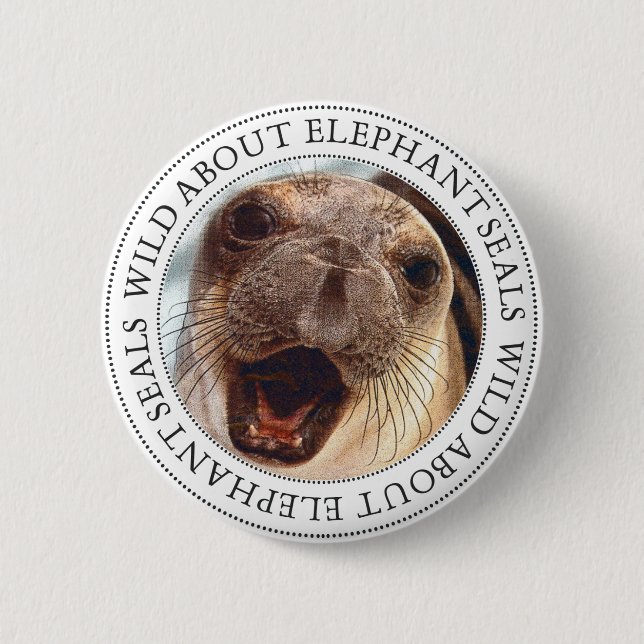 Elephant Seal 2 Inch Round Button (Front)