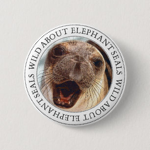 Elephant Seal 2 Inch Round Button