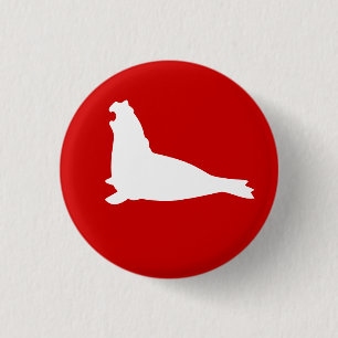 Elephant Seal Button White