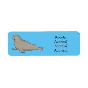 Elephant seal cartoon illustration