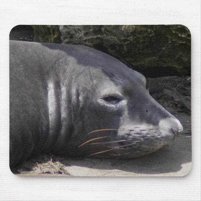 Elephant seal mousepad (Front)