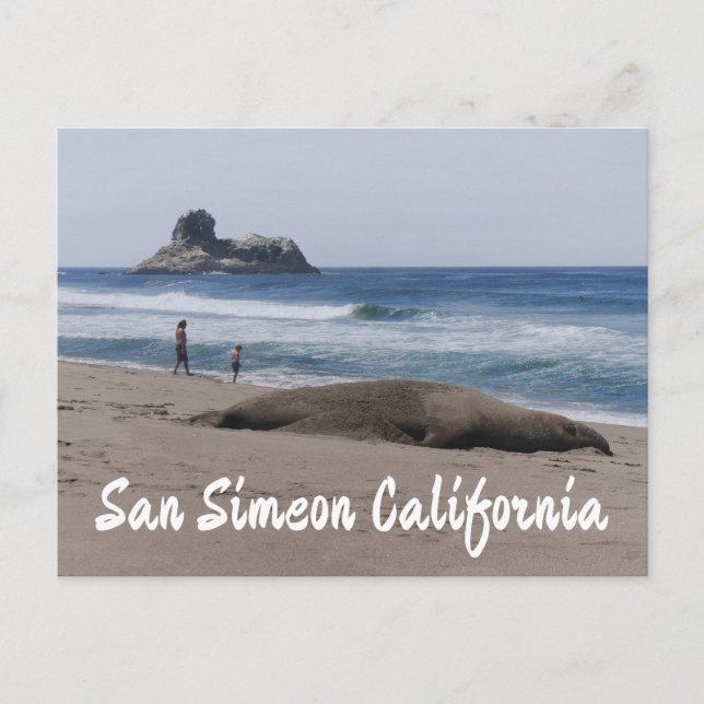Elephant Seal on The Beach Postcard (Front)