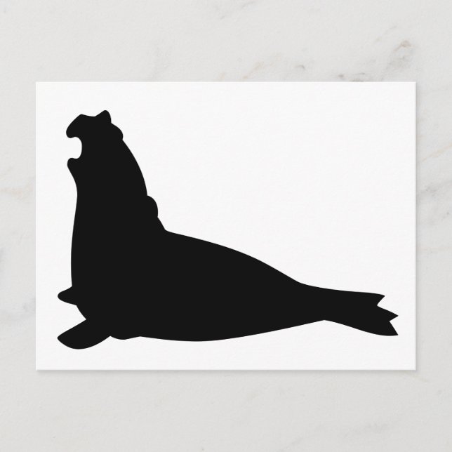Elephant Seal Postcard Black (Front)