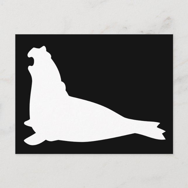 Elephant Seal Postcard Whiteblack (Front)