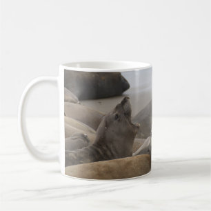 Elephant Seal Rookery San Simeon, CA Coffee Mug