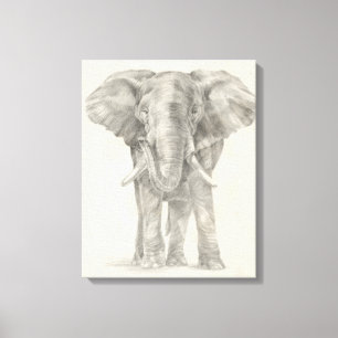 Elephant Sketch Canvas Print