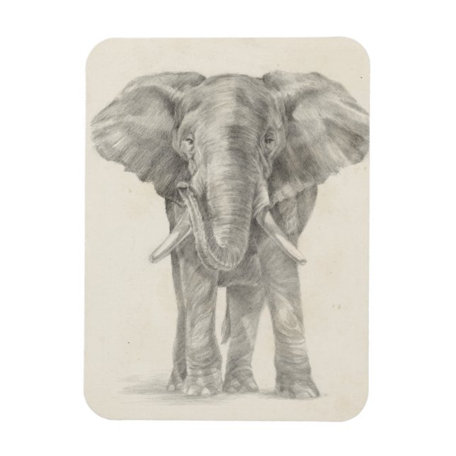Elephant Sketch Magnet (Vertical)