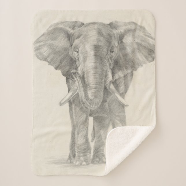 Elephant Sketch Sherpa Blanket (Front)