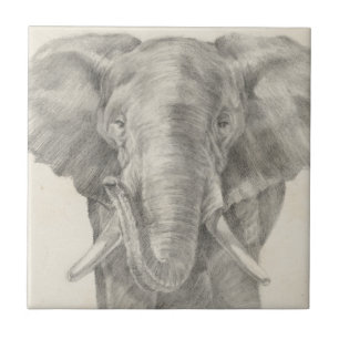 Elephant Sketch Tile