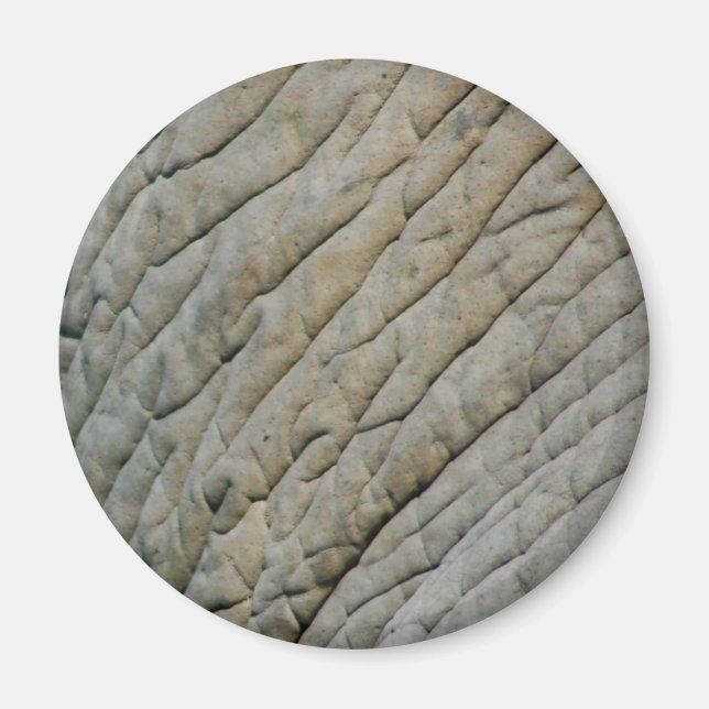 Elephant Skin Personalized With Your Name Magnet (Front)