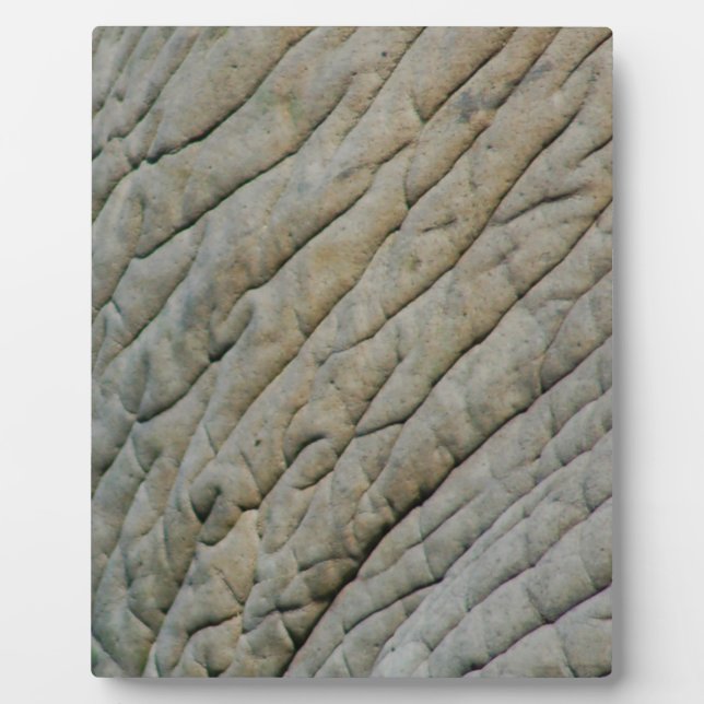 Elephant Skin Personalized With Your Name Plaque (Front)