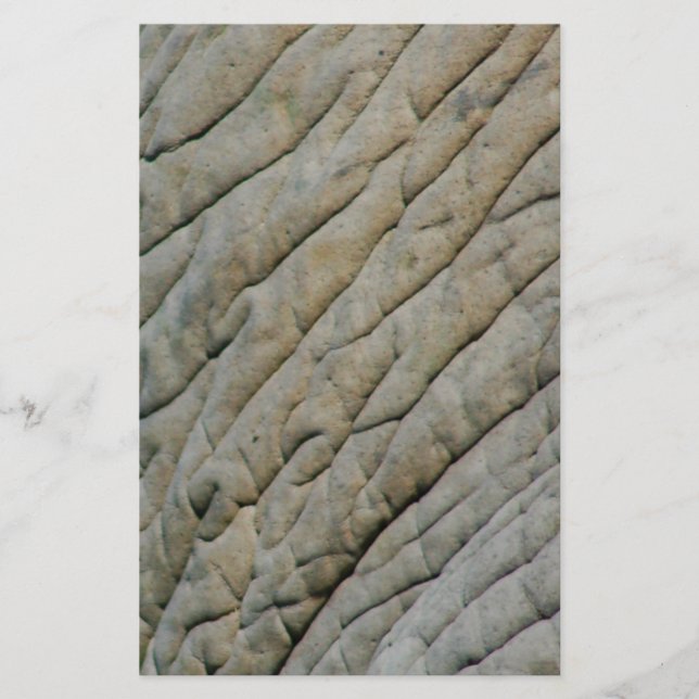 Elephant Skin Personalized With Your Name Stationery (Front)