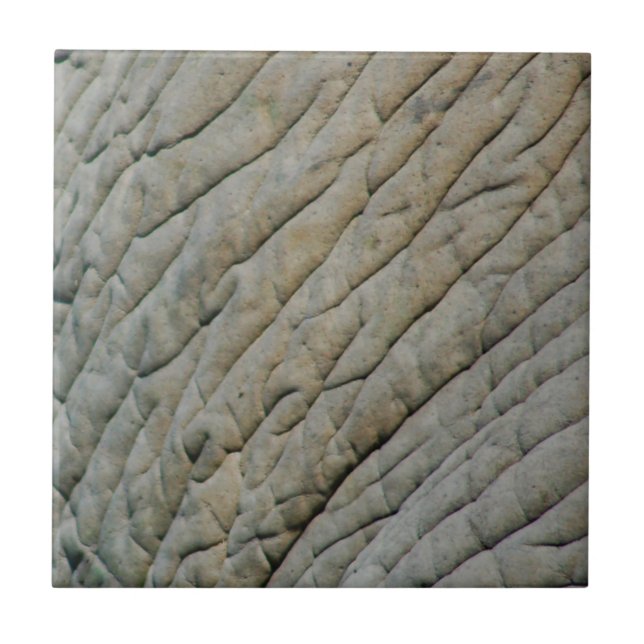 Elephant Skin Personalized With Your Name Tile (Front)