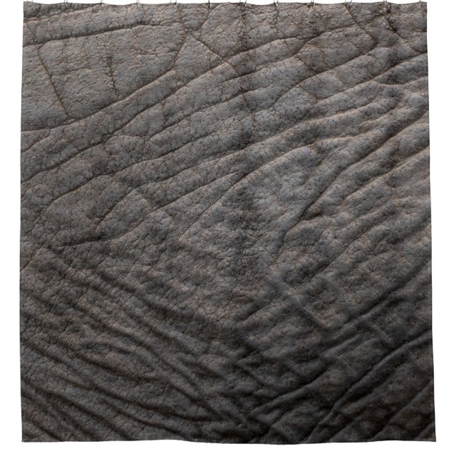 Elephant skin texture pachyderm (Front)
