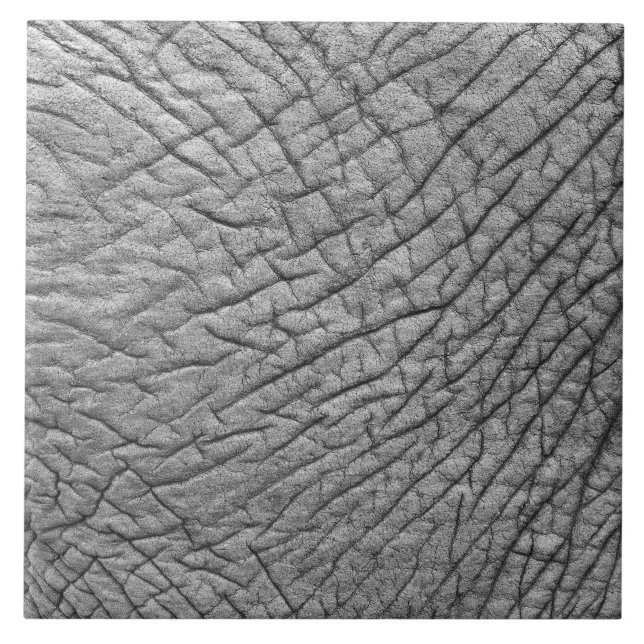 Elephant skin tile (Front)