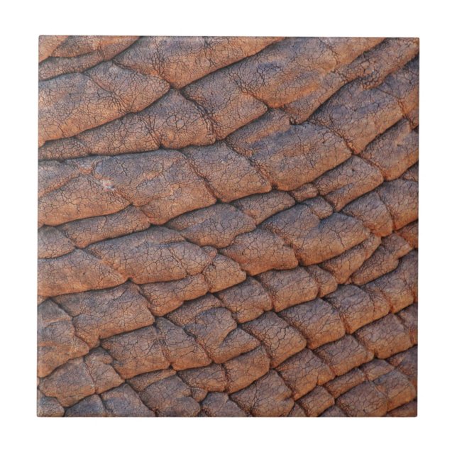 Elephant Skin Tile (Front)