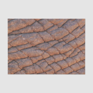 Elephant Skin Tissue Paper