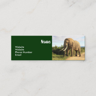 Elephant Skinny Business Card Template