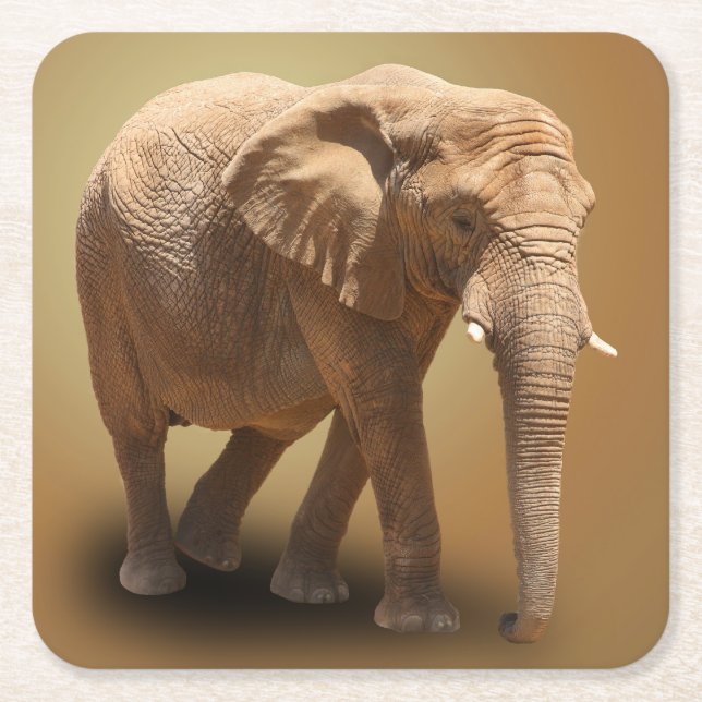 ELEPHANT SQUARE PAPER COASTER (Front)