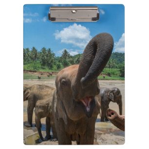 Elephant Sri Lanka Clipboard