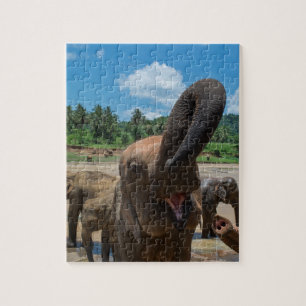 Elephant Sri Lanka Jigsaw Puzzle