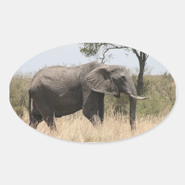 elephant stand oval sticker (Front)
