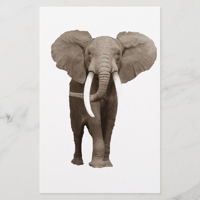 Elephant Stationery (Front)