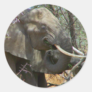 Elephant Stickers