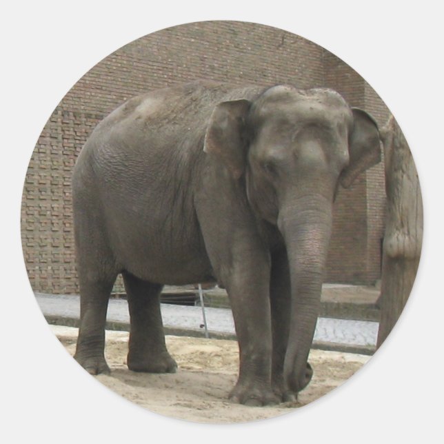 ELEPHANT stickers (Front)