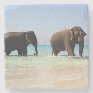 Elephant Stone Coaster