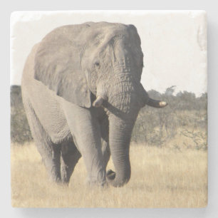 Elephant Stone Coaster